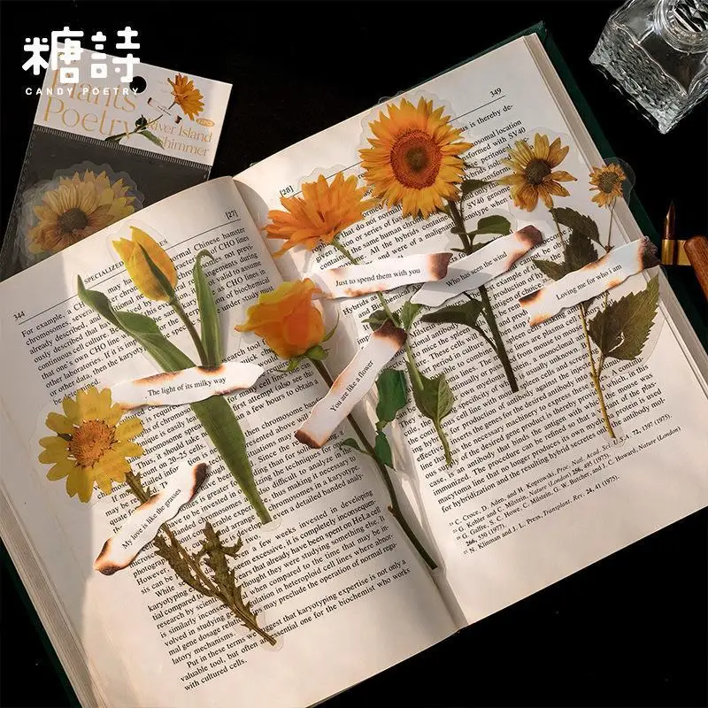 12個のビッグサイズの花びの恋の歌にバラデシダの葉スタイル塩ビ透明ステッカー Scrapbooking DIYギフトの装飾タグ